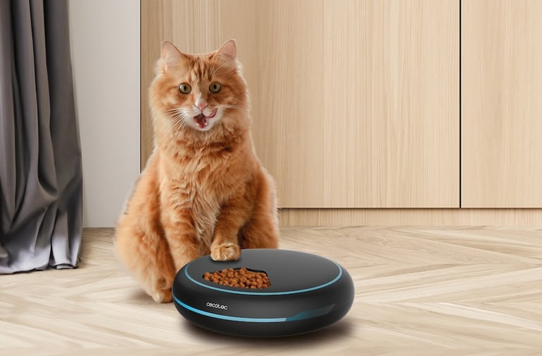 Comederos automáticos