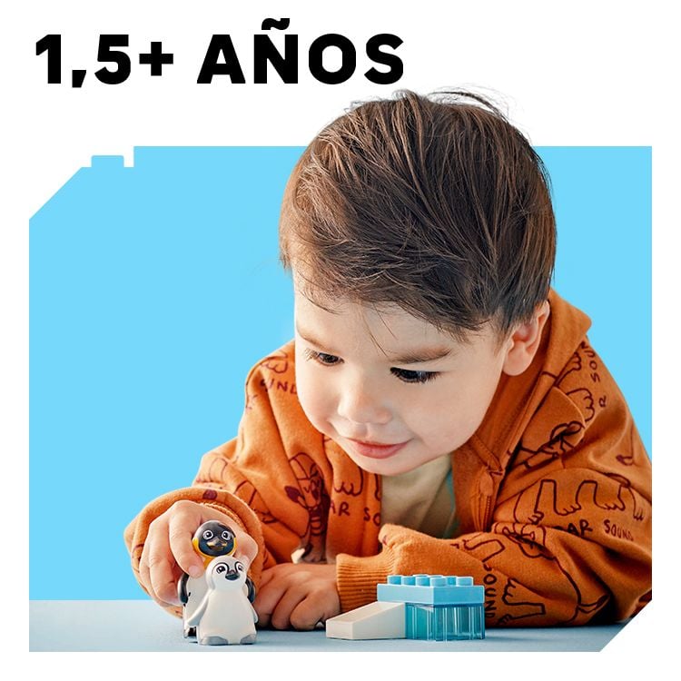 Entre 1 y 2 años