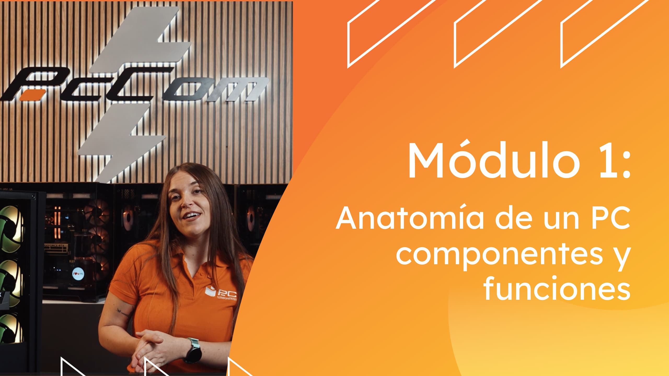 Los cimientos de tu PC Los cimientos de tu PC