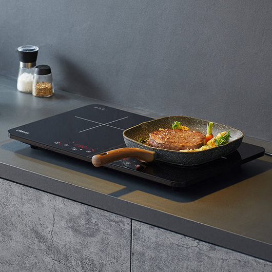 Placas portátiles de 2 zonas