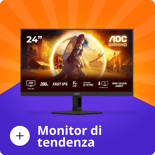 monitor monitor