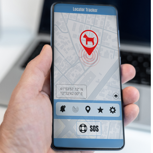 Localizadores GPS Localizadores GPS