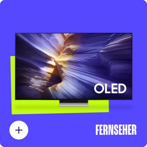 Fernseher