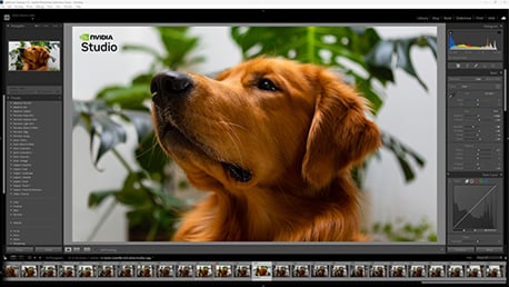 Edición de fotografía RAW por lotes en Lightroom y Photoshop acelerada por GPU RTX con IA