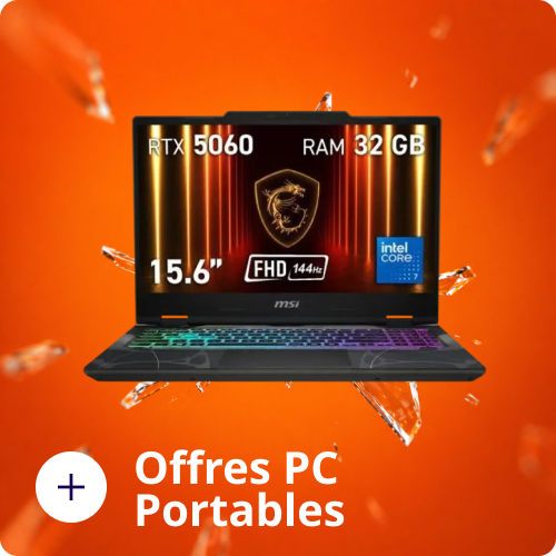 Ordinateurs Portables