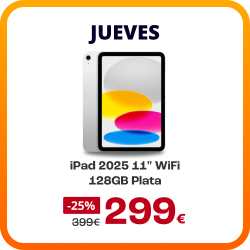 Flash iPad