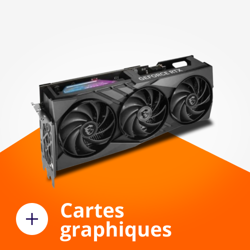 Cartes graphiques Ordinateurs Portables