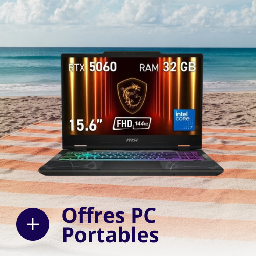 Ordinateurs Portables