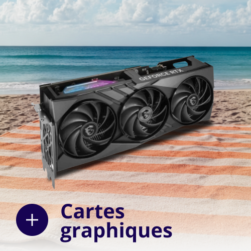 Ordinateurs Portables