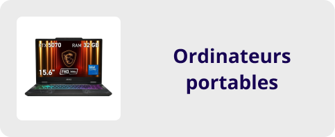 Ordinateurs Portables