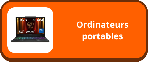 Ordinateurs portables Ordinateurs portables