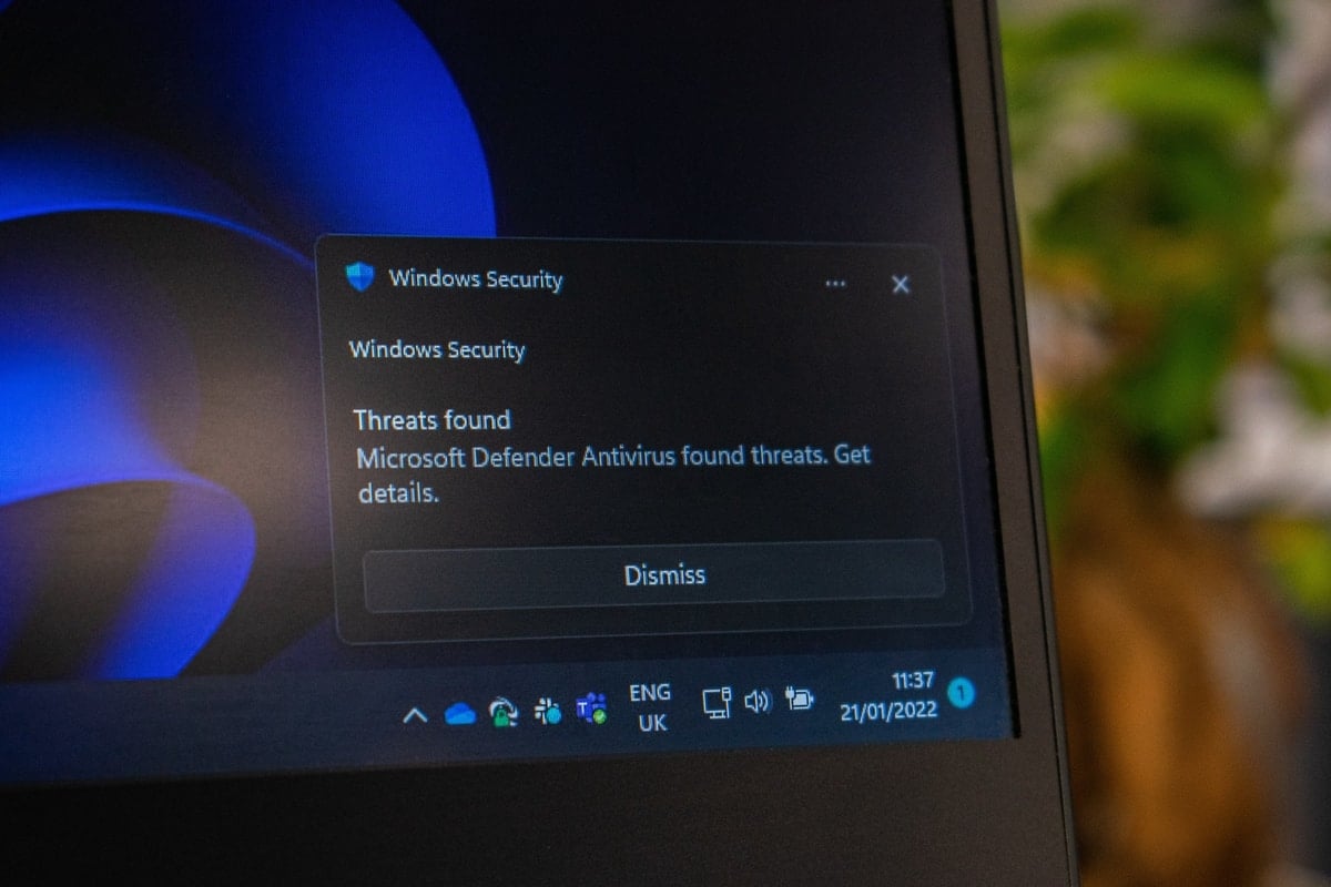 Antivirus sí o no Antivirus sí o no