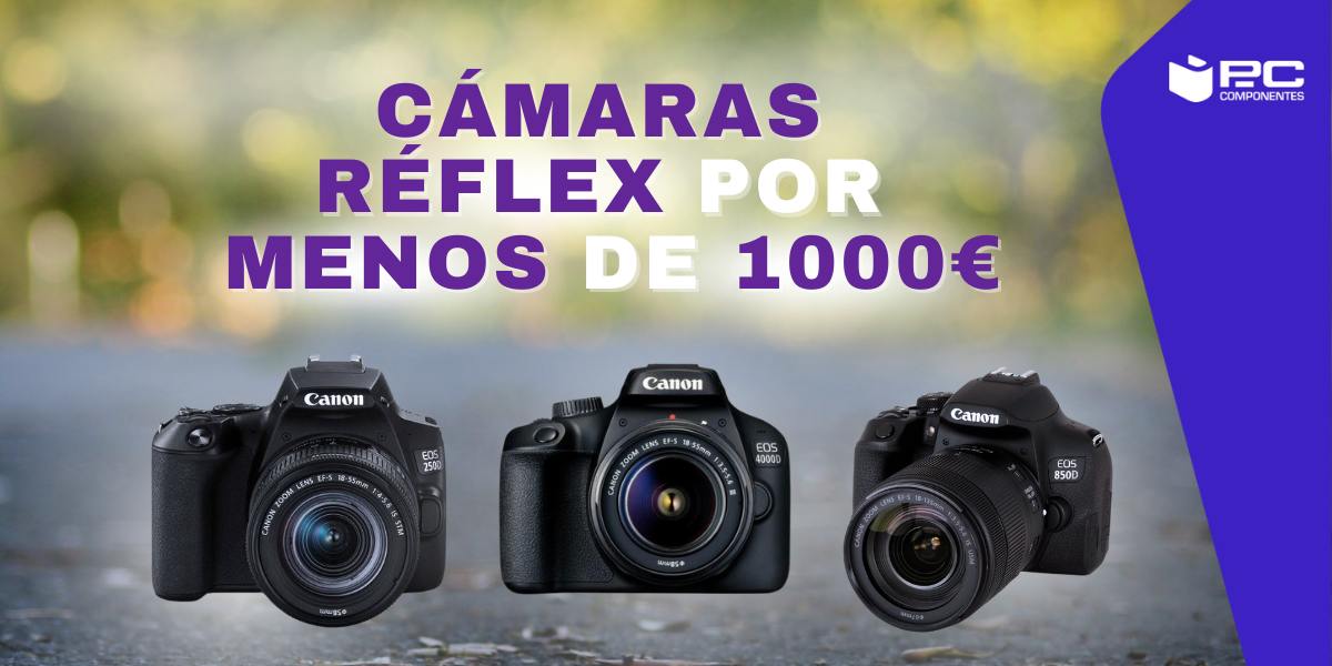 beste Spiegelreflexkameras unter 1000 Euro