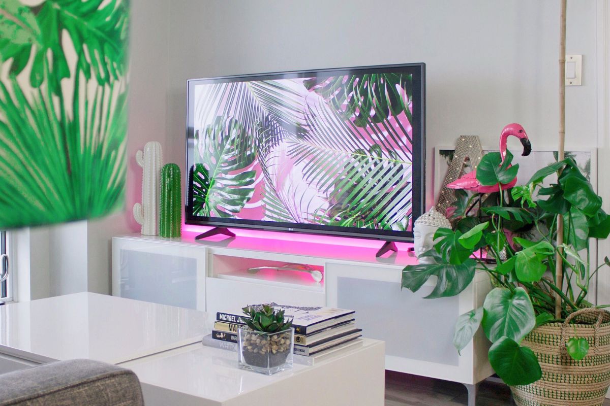 Una TV Philips vs. Xiaomi en el salón junto a unas plantas